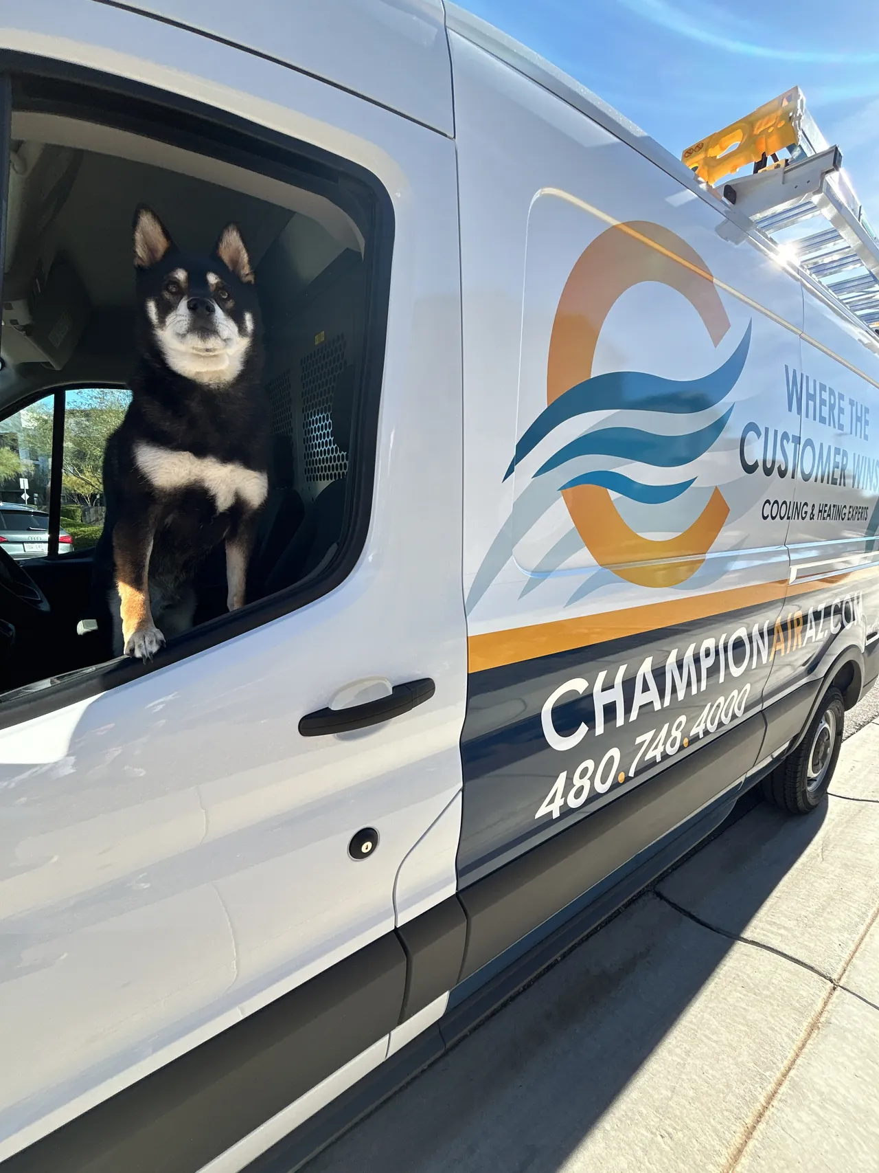 Champion Air technician greeted by family dog during a service call