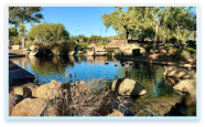Park in Anthem, AZ